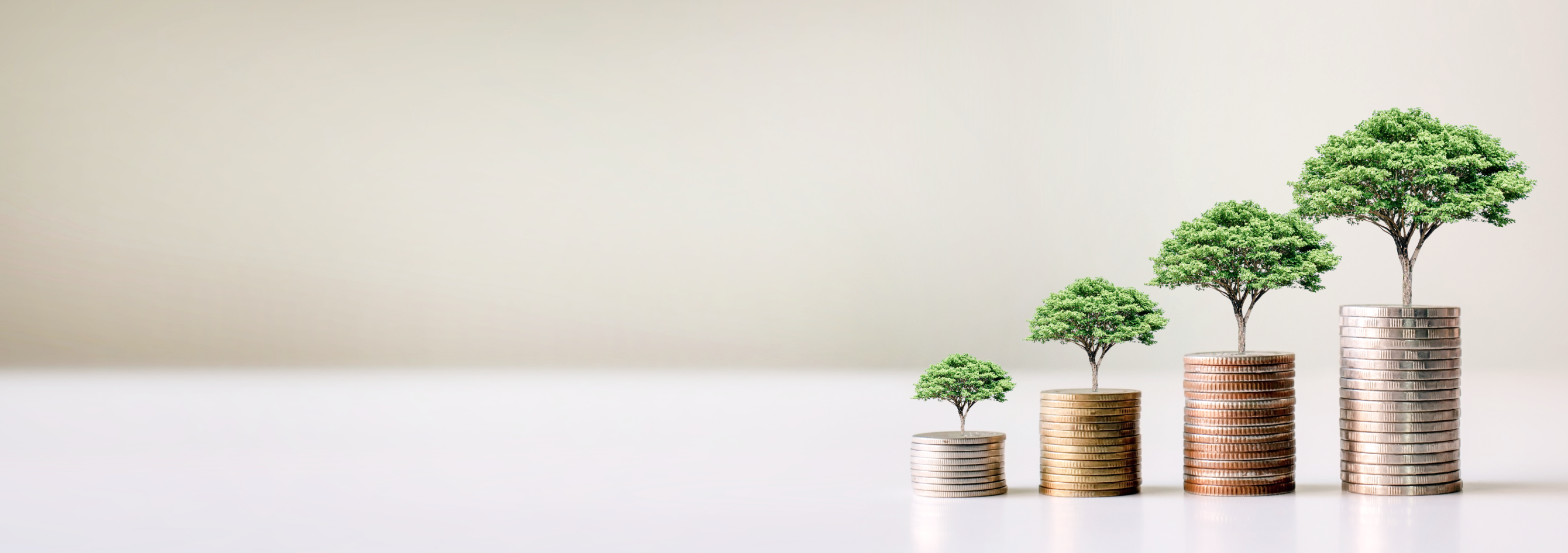 Business Development